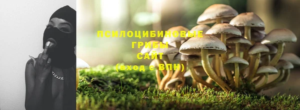 спайс Баксан