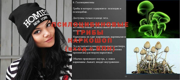 спайс Баксан