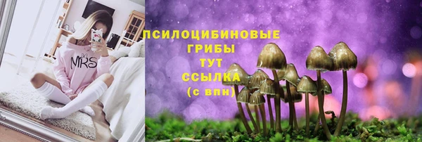 спайс Арсеньев