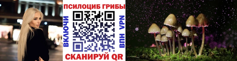 как найти наркотики  shop состав  Псилоцибиновые грибы Psilocybe  Белебей 